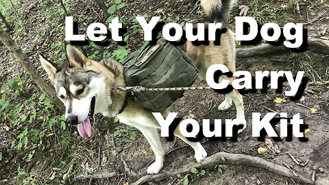 Let your dog carry your kit! (2023)