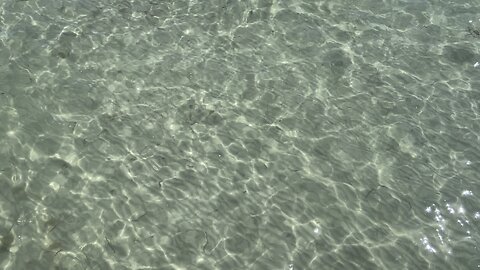 Clear and inviting water at Fort De Soto April 24 2024