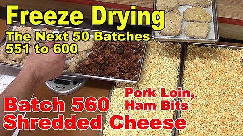 Freeze Drying - The Next 50 Batches - Batch 560 - Shredded Cheese, Pork Loin Steaks, Ham Pieces