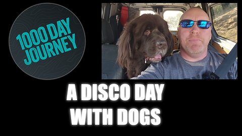 1000 Day Journey 0289 A Disco Day With a Bunch of Dogs