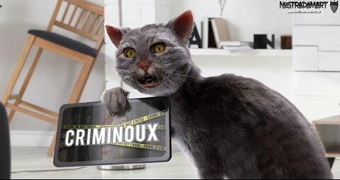 Les Criminoux - Leave My Kitten Alone