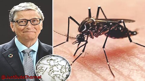 Bill Gates Unleashes Swarm Of Mosquitoes On Crowd