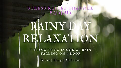 RAINY DAY RELAXATION: The Tranquil Sound of Rain Falling on a Roof