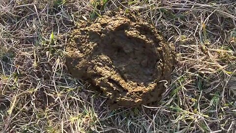 Greg discusses what your manure piles should look like on winter stockpile.