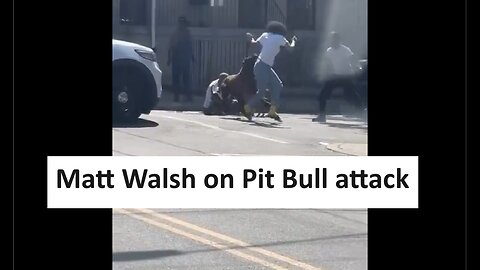 Matt Walsh Pitbull attack tweet goes viral