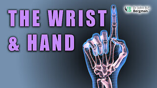The Wrist & Hand 🖖🧤✍️👋