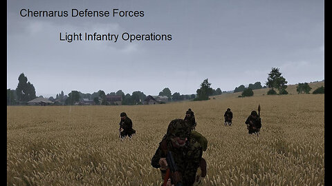 Chernarus Defense Forces Light Infantry Combat Operations in Sumava