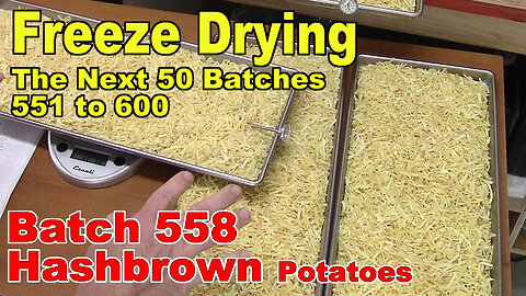 Freeze Drying - The Next 50 Batches - Batch 558 - "Dry" Hashbrown Potatoes, Plus Rehydrating