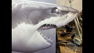 Airbrushed Great White Shark