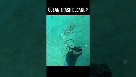 POV Diver removing dangerous trash