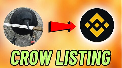 WOULD CROW WITH KNIFE (CAW) COIN GET LISTED ON BINANCE IN 2024?