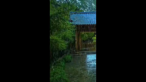 beautiful rain and beautiful scene please like share and subscribe this channel