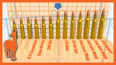 1000 Yard Savage Axis Rifle: Which Cartridge is Best? | The Social Regressive