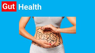 How to IMPROVE your GUT HEALTH! 🔵 Dr. Michael