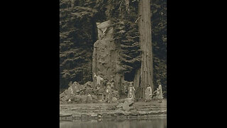 Sneaking into Bohemian Grove at night.