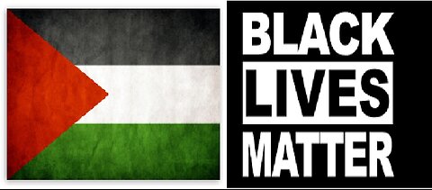 Palestine protest v BLM riots
