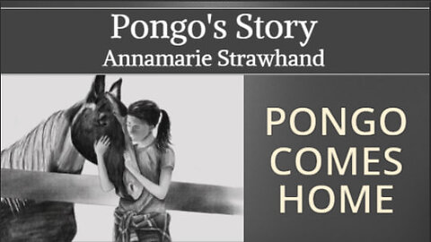 Pongo's Story: Pongo The Rescue Horse Comes Home