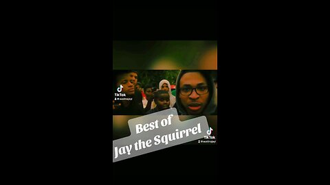 Best of Jay the Squirrel