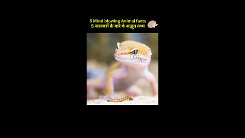 Mind blowing facts about animals | Amazing facts in Hindi | Crazy facts Top 5 | #shorts #facts
