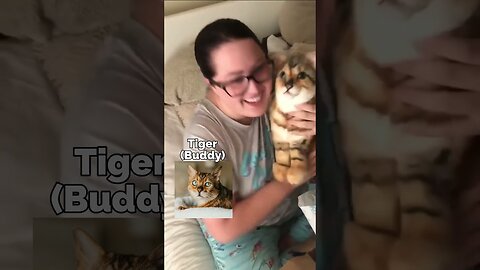 Man Surprises Wife with Cat Plushie | MyPetsies