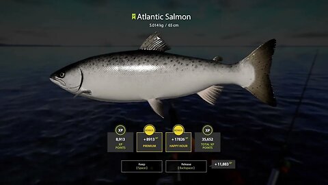 Russian Fishing 4 Ladoga Archipelago Atlantic Salmon 5 . 014 Kg