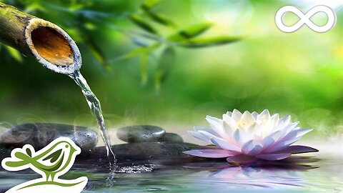 Zen Meditation Music : Relaxation Zen Music, Relax Music for Inner Peace,  Calming Music - video Dailymotion