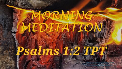 Morning Meditation -- Psalm 1 verse 2 TPT