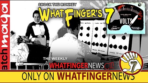SHOCK THE MONKEY - Whatfinger's 7