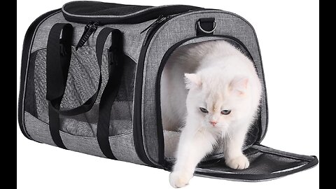 Zagie Cat Carrier Dog Travel Bag Pet Carriers for Small Medium Large Cats & Small Dogs ( Collap...