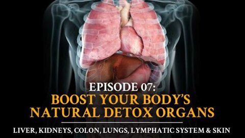 Autoimmune Answers - Episode 7 Boost Your Body's Natural Detox Organs: Liver, Kidneys, Colon, Lungs