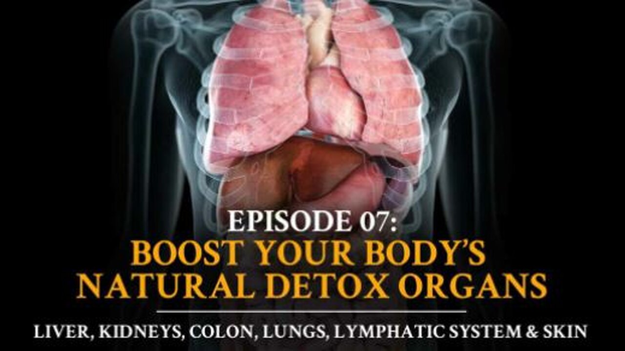 Organs that Detox Your Body