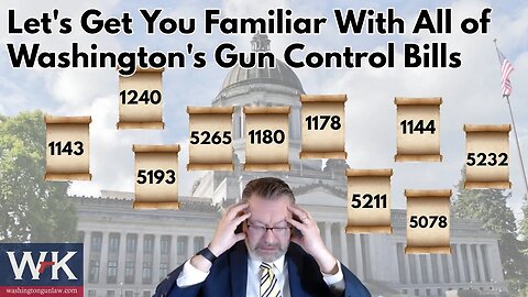 Let's Get you Familiar With All of Washington's Gun Control Bills