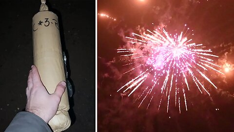 Shell of the week #2 | #fireworks #shorts