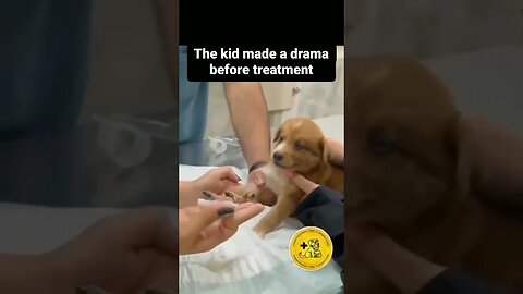 Poor Puppy 🐶 🐕 🐩