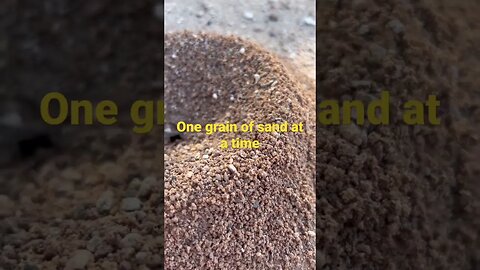 One Grain of Sand! #workethic #offgridhomestead