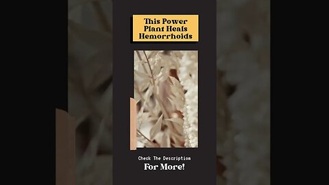 This Power Plant Heals Hemorrhoids