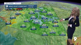 Gusty and much cooler to start the week