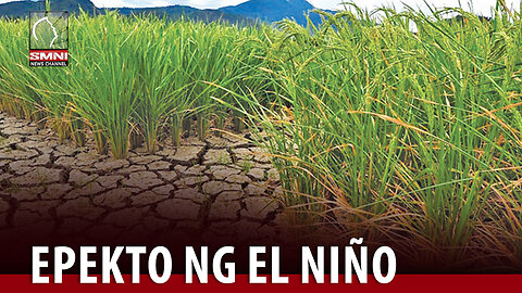 FULL INTERVIEW | Pinsala sa agrikultura dahil sa epekto ng El Niño, umakyat pa sa P5.9-B