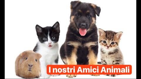 Le Dirette di Zainz - i nostri Amici Animali