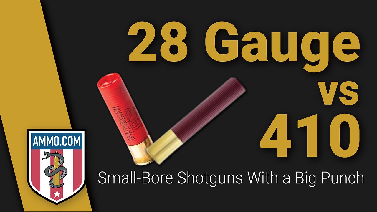 410 vs 12 Gauge: Is 410 Good for Anything? 