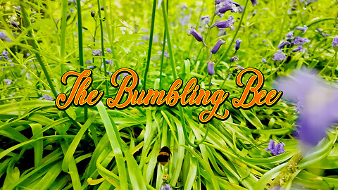 The Bumbling Bee