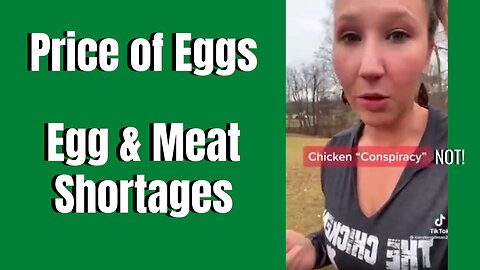 Why Egg Prices Are So High | Not A Conspiracy!