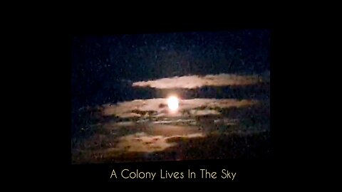 A Colony Lives In The Sky