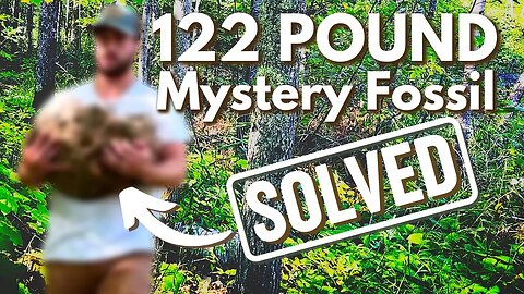 Rockhounding Rescue Mission: HUGE Mystery Fossil and Finding a Positive Identification!