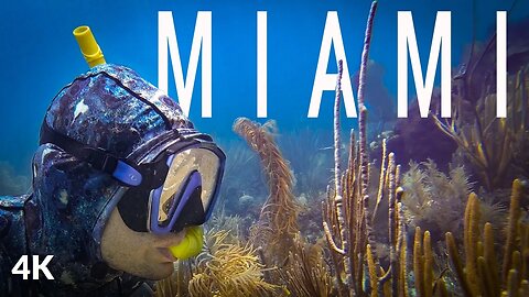 Snorkeling in Miami - Biscayne National Park
