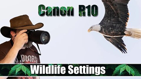 Canon R10 Wildlife Settings / Setup - Complete Walkthrough