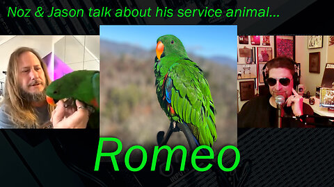 Noz & Jason Pilgrim (Flesh Parade) talk his service animal Romeo