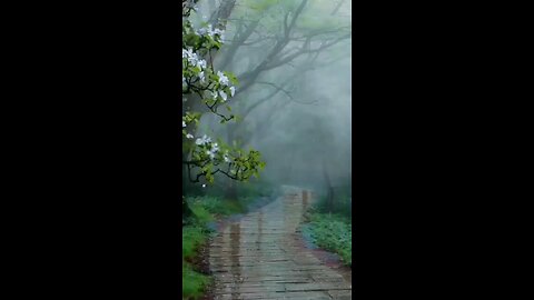 beautiful rain and nice scene beautiful nature please like share and subscribe this channel