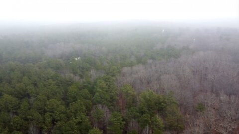 Nonprofit works to protect Black and Native American burial sites