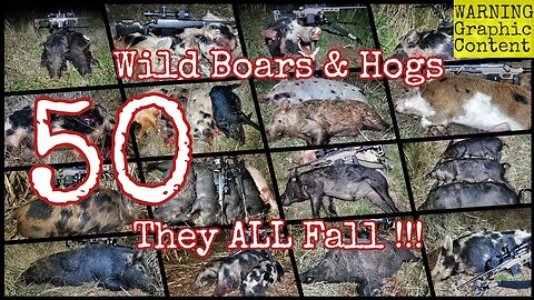 Wild Boar Hunting with Precision || 50 Feral Pigs & Ultimate Bolt Action Kill Shots Compilation